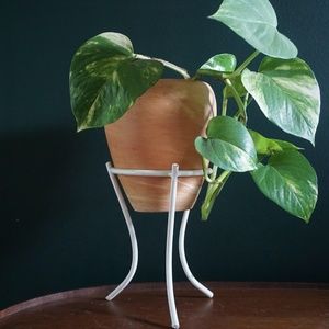 Vintage Accents - vtg white metal hairpin leg plant stand Vintage Accents - vtg white metal hairpin leg plant stand